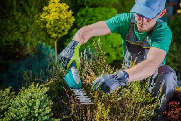 landscaping services Valhalla